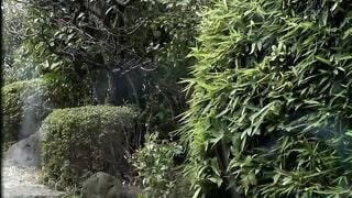MEYD-685C 與在哥哥面前裝冷淡的大嫂搞著砲友般的傲嬌同居生活 夢乃愛華