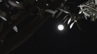 VENX-099 もう息子なしでは生きていけない…。母親が絶頂60回突破するエロス極限トランス中出し 北野未奈