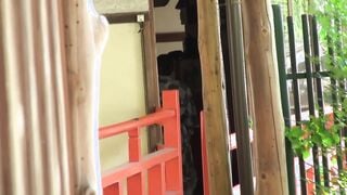 MEYD-316C 妻子公司的職員旅行在溫泉旅館和別人肉棒的肉體娛樂。鈴代惠奈
