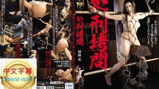 GTJ-066C 處刑拷問 神納花