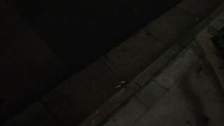 491TKWA-024 히카리
