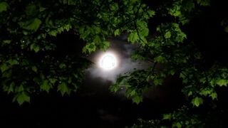JUC-561 私の身体を診て下さい ～夫の主治医に犯されて～ 香川翔