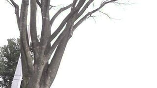 【モザイク破壊】HND-328 爆乳家庭教師の圧迫種絞りプレス！！ 清塚那奈