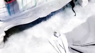 女仆装，00后小美女，【尾巴巴】，新人刚下海，蜜桃臀被男友无套内射，白虎，粉嘟嘟，超赞惹人爱