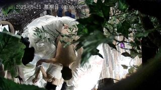 新片速递情趣酒店绿叶房高清偷拍高颜值美女穿上性感情趣男友挑逗斯文男友做爱