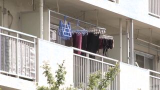 VSED-223 団地妻 旦那の居ない昼下がりの情事 北条麻妃 伊藤まい