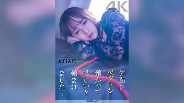 エロ動画「いくすと」 | CRNX-120 【4K】先輩にペットを預かってほしいと頼まれました… 松岡美桜