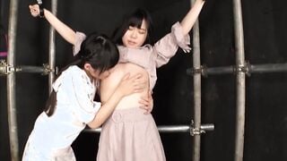EVIS-592 異変形伸縮乳首アクメレズ