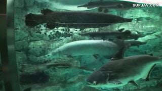 【モザイク破壊】ABY-006 人妻不倫温泉 06