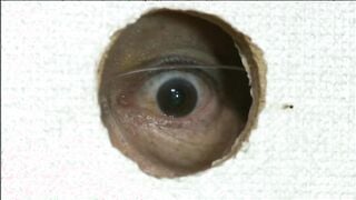 MTES-137 人生は一度だけ！ 大興奮スワッピング夫婦交換