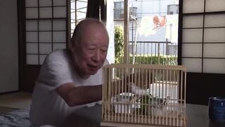 TORG-043 巨乳嫁の性介護 ～溺愛に悶える禁断の肉体 尾上若葉～