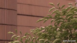 【モザイク破壊】DASD-871 女体化した俺は親友に求められるがまま、受け入れて、心も女になっていた。 木下ひまり