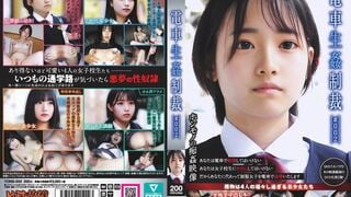YDNS-002 電車生姦制裁 ＃002