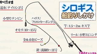AVOP-206 釣りバカおじさん日記 ～マドンナ初美沙希ちゃんとキス釣りチャレンジ！！～