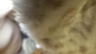 FC2-PPV-4778988 全身リップ手コキ射精