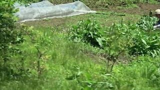 HRD-384 なんで地方の母ちゃんはチチとケツがデカいんだべ 田舎の豊満お母さん5 240分