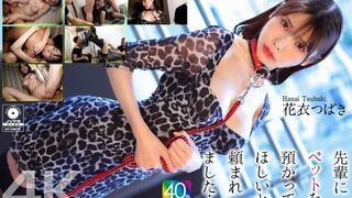 CRNX-254 【4K】Tôi được người tiền bối nhờ trông nom thú cưng... Hanagoromo Tsubaki