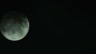 DASS-740 ヤクザに監禁され、キメセク乱交に堕ちていく華奢な彼女を信じて見守るしかない一週間。 東條なつ