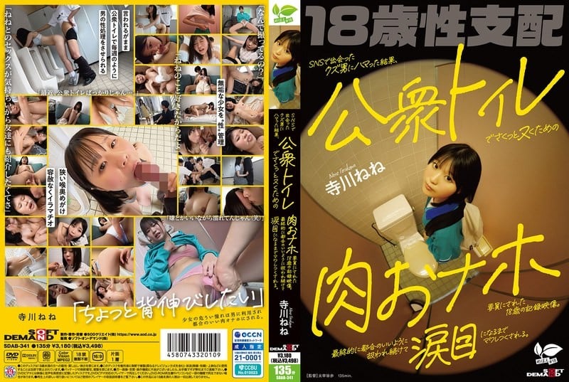 SDAB-341 在社交軟體上遇見渣男後沉迷其中，最終淪為18歲少女在公廁快速解決生理需求的肉慾工具。全程記錄她被隨意玩弄直至淚眼婆娑的悲慘經歷。