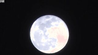 【モザイク破壊】RBK-005 貸し出される女 新人図書館司書、一葉 七咲琴乃