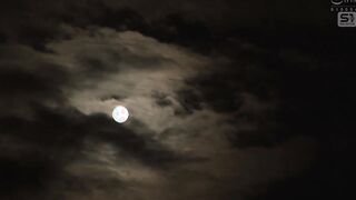 SONE-954C オッサンばっかりの職場の社員旅行に娘ほど歳の離れた隙だらけ新卒社員が唯一の女性で参加！ このあと風呂を覗かれ媚薬を盛られ全社員にチ●ポ挿れられちゃい