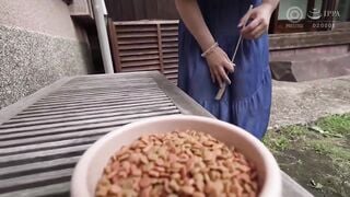 ABF-283C-U 完全主観×鬼イカせ イッても止めない激FUCK！！！追撃5.000ピストン 釈アリス【限定特典映像20分付き】