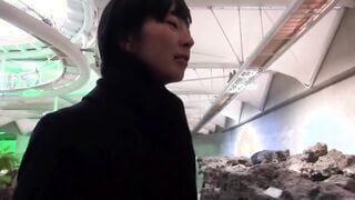 C-2165 人妻不倫旅行・特別篇 ＃85続～朝陽の中で～