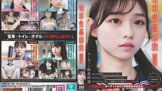 【モザイク破壊】YDNS-001 電車生姦制裁 ＃001