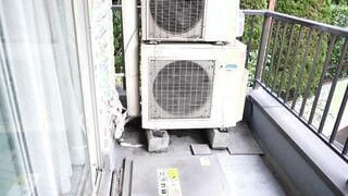 SAN-231 となりの美人局奥さん / 白石もも