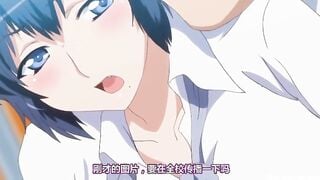 HH05482 ペットライフテンゴロ編