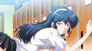 HH05482 ペットライフテンゴロ編