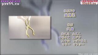 HH05601 最終痴漢電車NEXT Molester.2「お前は最高の女だ」
