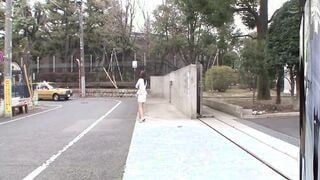 SCOP-568 何も知らない女が悪徳サービスの魔の手に引っ掛かり、マ●コにチ●ポを突き刺されてしまう被害報告30人