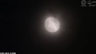 【モザイク破壊】ABF-336 下町ママのねっとり誘惑スナック 鈴村あいり【限定特典映像40分付き】