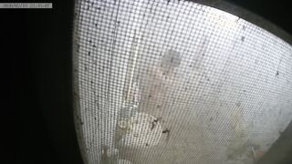 像是by2的漂亮大學生