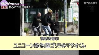[破壞版] (JUL-667 高比良いおり)