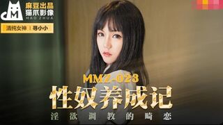 MMZ-023 性奴隷の開発～Xun Xiaoxiao