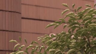 DASD-871C 女體化的我被好友追求接受、心理也變成女人。木下日葵